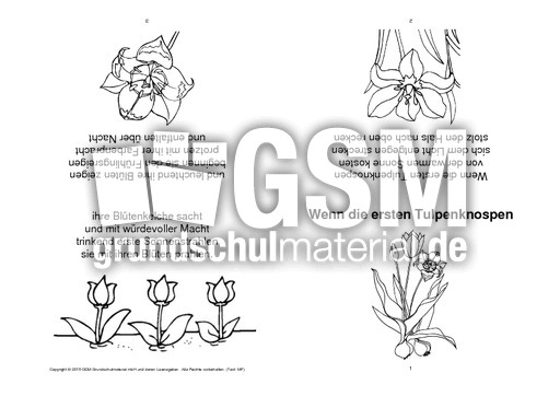 Faltbuch-Wenn die ersten Tulpenknospen-SW.pdf